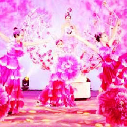 合風演藝 專業演出經紀，點亮舞臺藝術之光